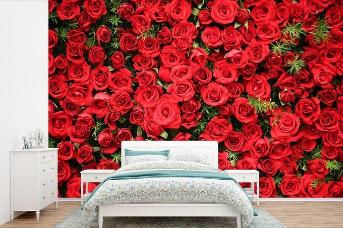 Behang - Fotobehang Rozen - Rood - Struik - Breedte 390 cm x hoogte 260 cm