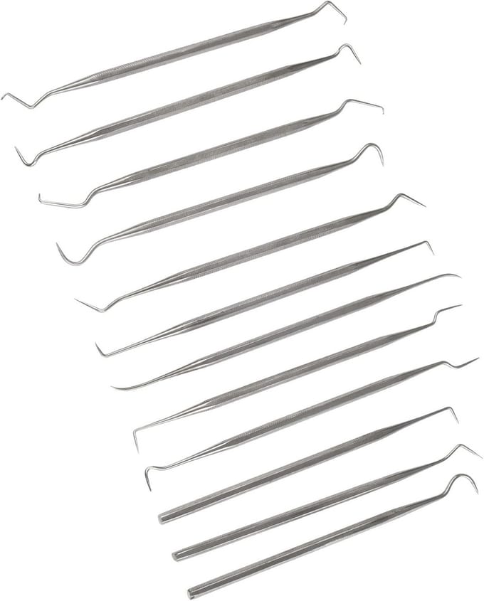 12-delige RVS sonde Set