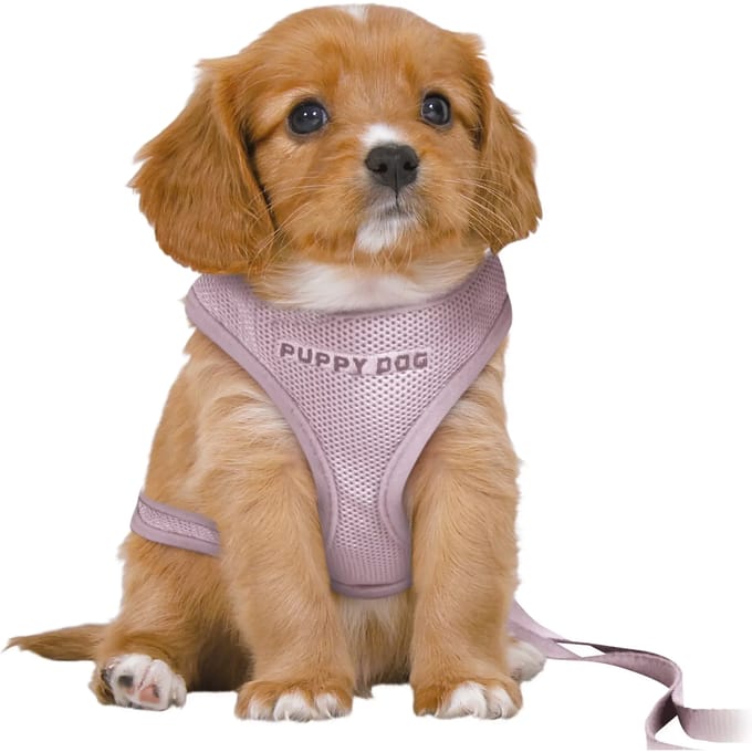 Trixie - Hondentuig - Junior - Puppy Softtuig - Met Riem - Lila - 36-50X1 cm/2 m