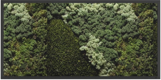 Mos Schilderij 160 x 80 cm Landscape Zwart