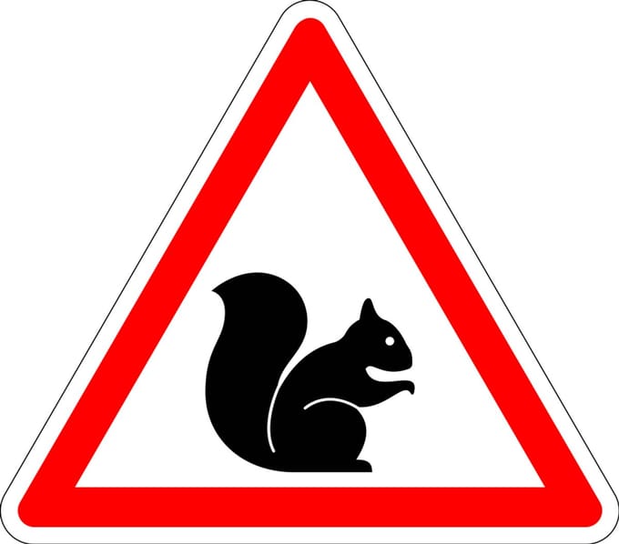 Pas op voor eekhoorn bord - kunststof 100 mm