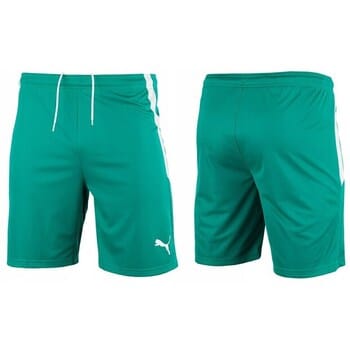 teamLIGA Short  Sportbroek Mannen - Maat M
