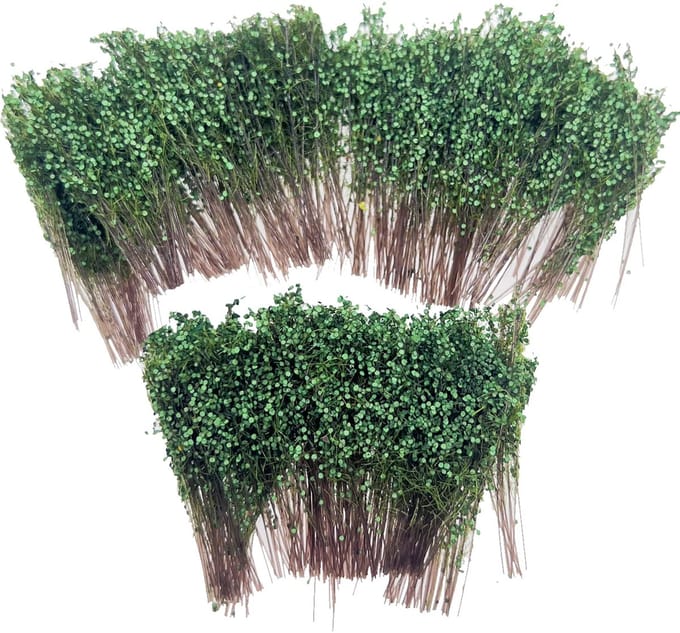 Allecto - Groene miniatuur struik - Vegetatie voor Diorama