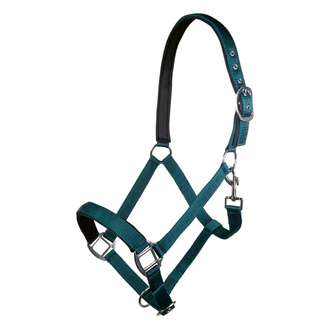 Nylon halster voor paard met zachte voering HKM Charming