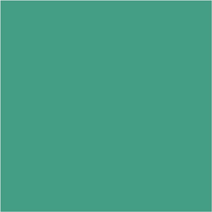 BIC Visa Color Kleurstiften, lijndikte 3 mm, mid groen, 12 stuk/ 1 doos
