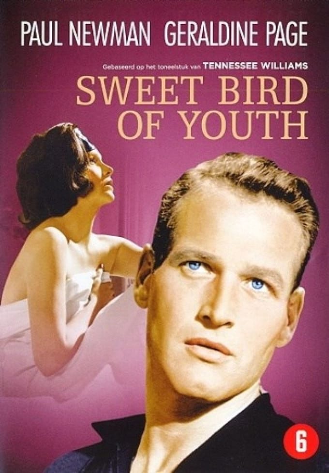 Sweet Bird Of Youth