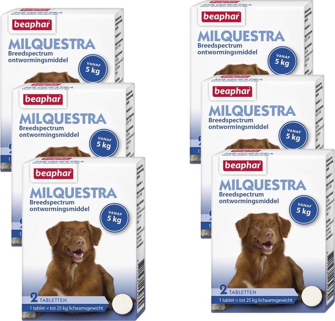 Beaphar Milquestra Hond - Anti wormenmiddel - 6 x 2 tab 5 Tot 50 Kg
