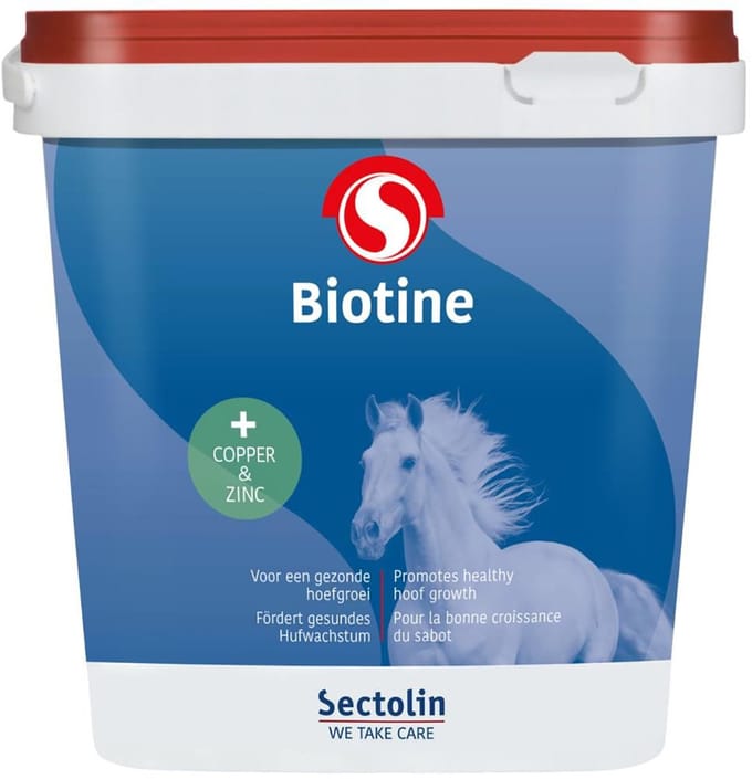 Sectolin Equi Biotin - Hoefverzorging - 1000gr