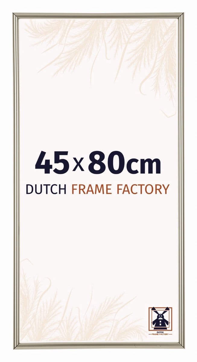 Fotolijst 45x80 cm - Kunststof - Champagne - Angers