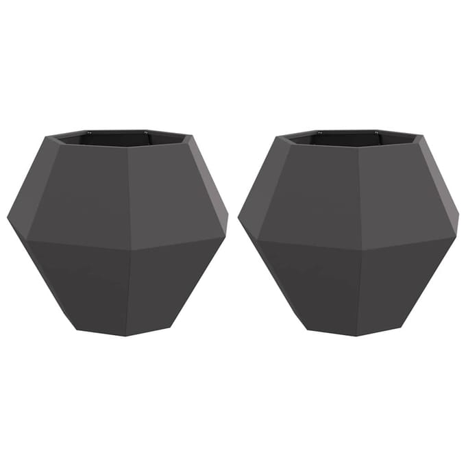 vidaXL Plantenbak 2 st Zwart 75 x 75 x 60 cm Staal