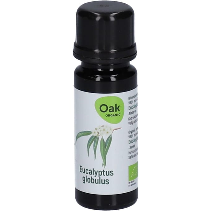 Oak Eucalyptus Globulus Essentiële Olie Bio 10 Etherische olie