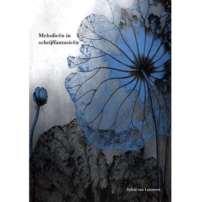 Melodieën In Schrijffantasieën - Sylvia Van Leeuwen