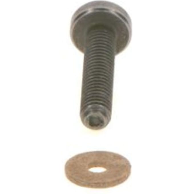 Schroef, injectiesysteem BOSCH F 00N 202 193