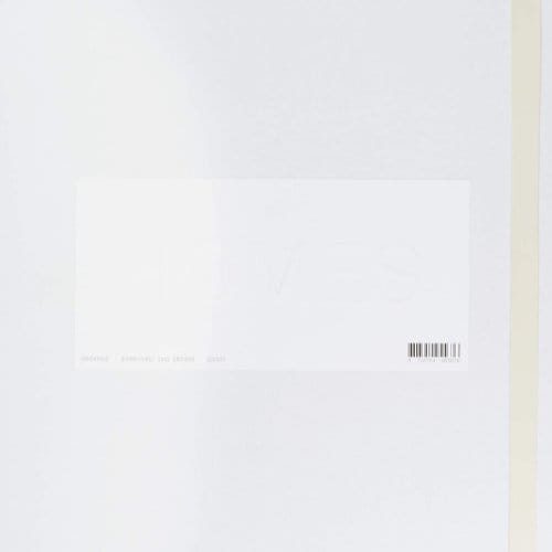 Greyheads - Homes (LP) (Limited Edition)