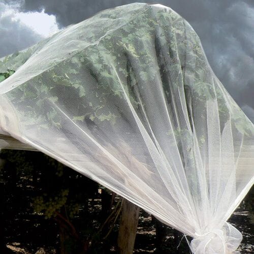 TENAX Iridium Hagelnet - 4,00 x 5 m, parelwit