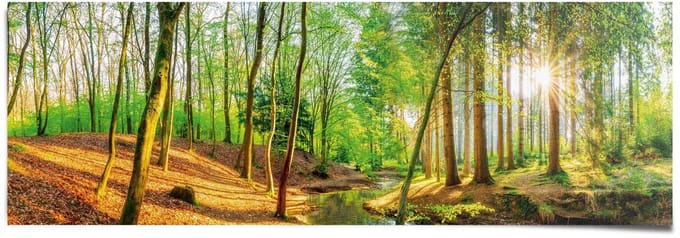 Poster Lentebos - 53 x 158 - Papier - REINDERS