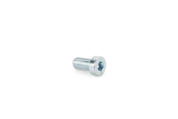 Screw