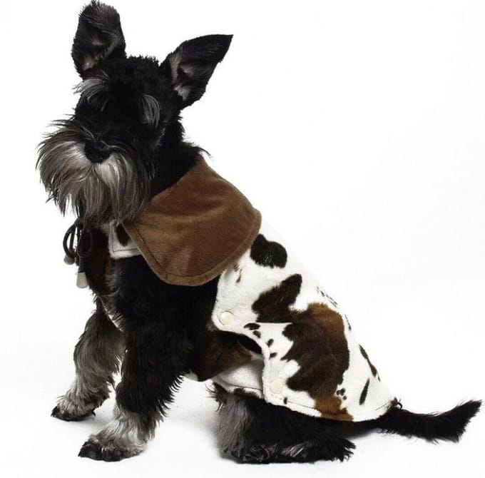 Karlie - Hondenjas Cattle Coat - 34 cm - Winddicht