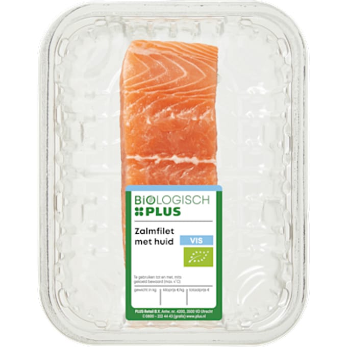 Zalmfilet met huid