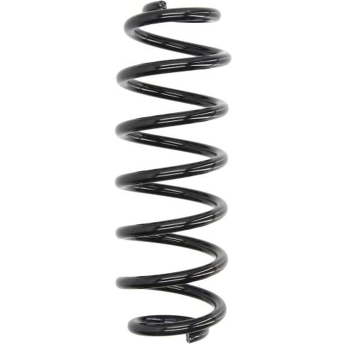 Chassisveer MAGNUM TECHNOLOGY SW141