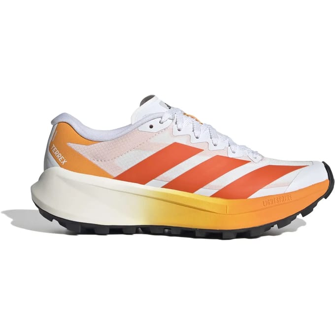 Damesschoenen adidas Terrex Agravic 4