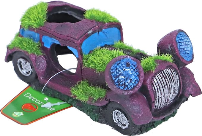 De Boon Auto Met Gaten + Mos