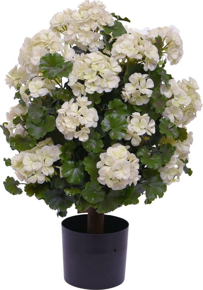 Geranium bol kunstplant 50cm UV Creme