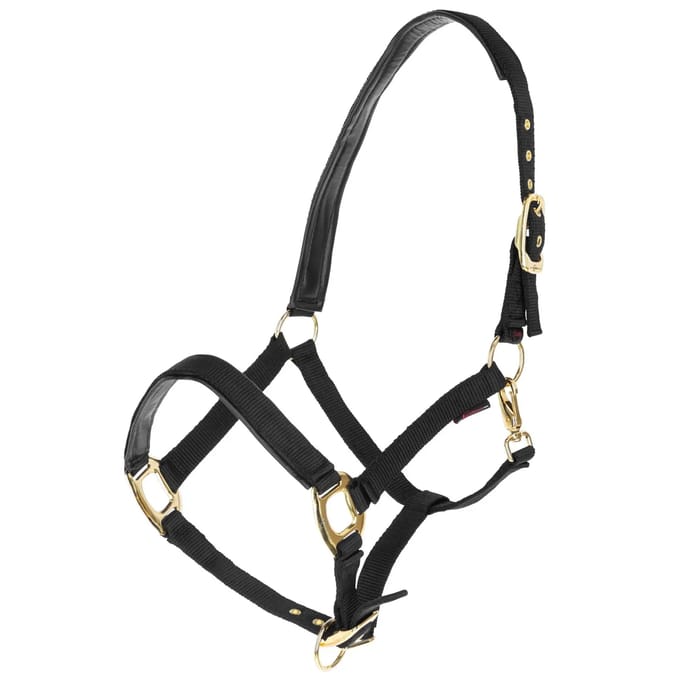 Halster voor paarden Covalliero TopLine