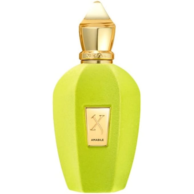 XERJOFF V-Collection Eau de Parfum Spray Herenparfum Unisex 100 ml