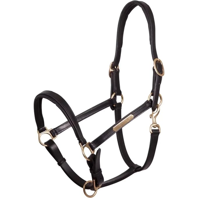 Leren halster voor paarden Premiere Equitation