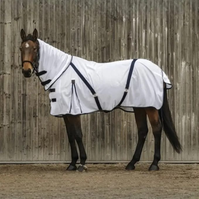 Paardenhemd Equithème Combo