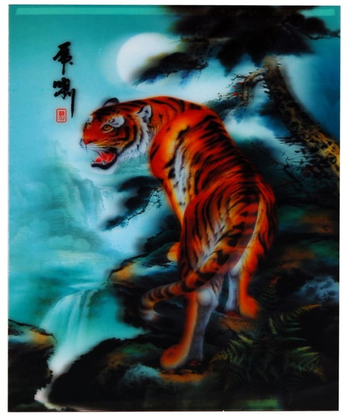 S.Y.W Poster - Tijger - Multicolor