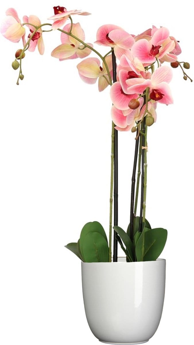 Orchidee kunstplant roze - 75 cm - inclusief bloempot wit glans - Kunstbloemen in pot