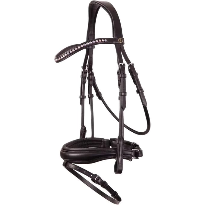 Anatomische hoofdstellen BR Equitation Southam