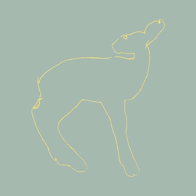 Songs: Ohia - Hecla & Griper (LP)