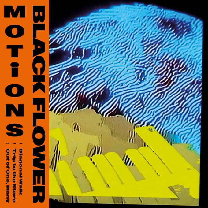 Black Flower - Motions (10" LP)