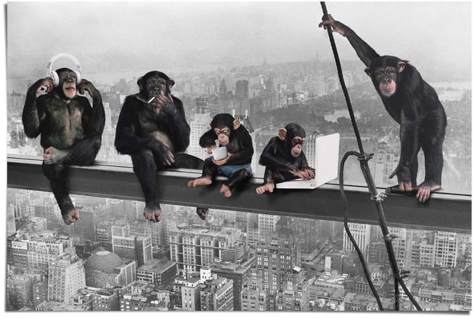 Poster The Chimp - girder - 61 x 91,5 - Papier - REINDERS