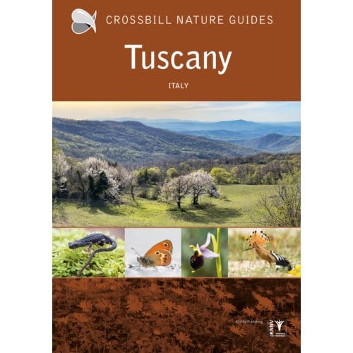 Crossbill Guide Tuscany - Crossbill Guides - Graham Chisholm