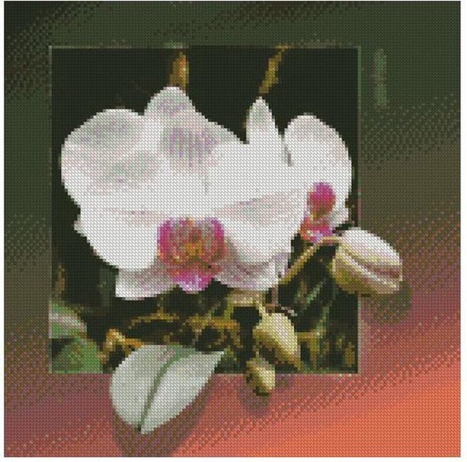 Diamond painting 40x40cm - bloemen - ronde steentjes