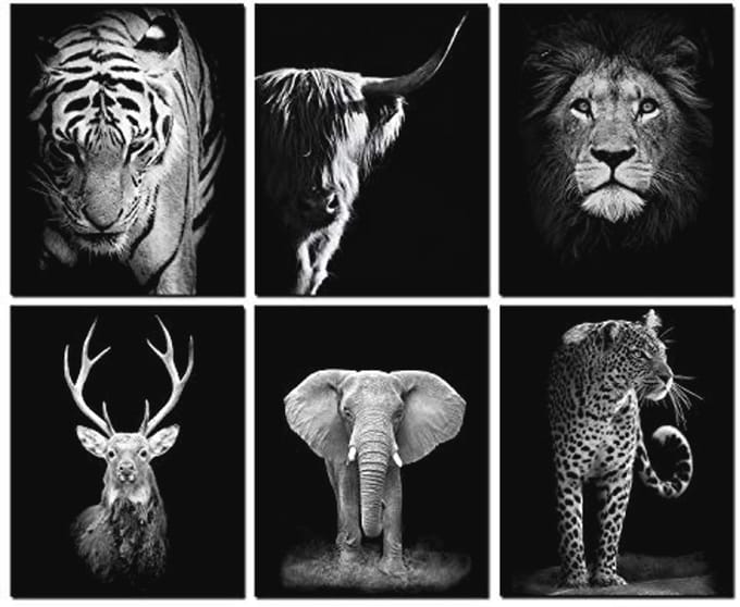 Set van 6 Dieren Muurkunst Prints - Zwart-Wit Wanddecoratie voor Thuis