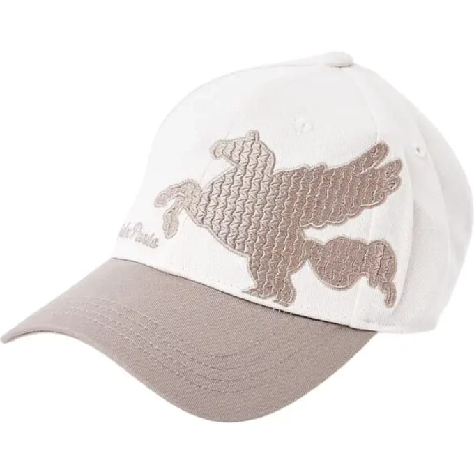 Bicolor baseballcap met geborduurd textuur pegase Project X Paris