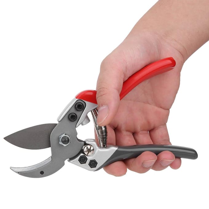 Handmatige Stalen Snoeischaar Boomtak Snoeischaar Bonsai Trimscharen Tuinaccessoire gray