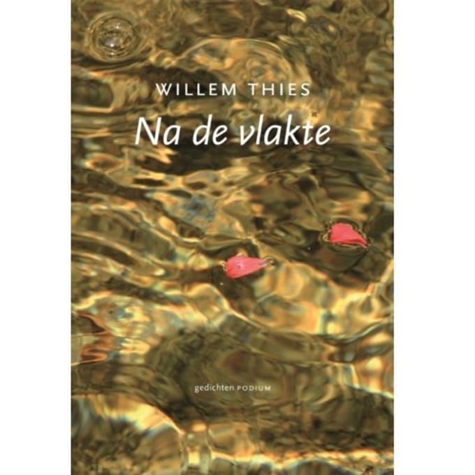 Na De Vlakte - W. Thies