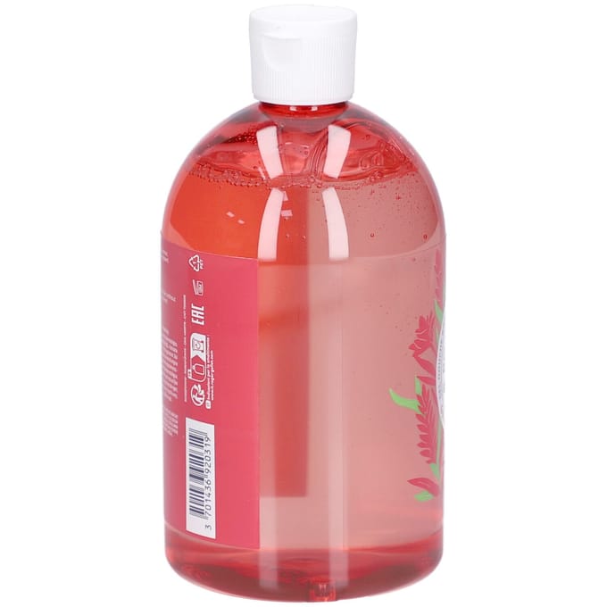 Roger & Gallet Gingembre Rouge Gel Douche Bienfaisant 500ml