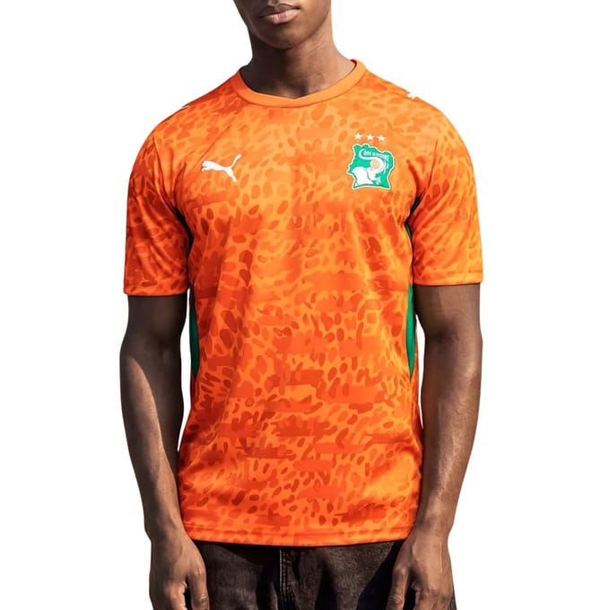 Puma Ivory Coast Truien/Replica's Heren - Oranje - Maat M - Poly Jersey