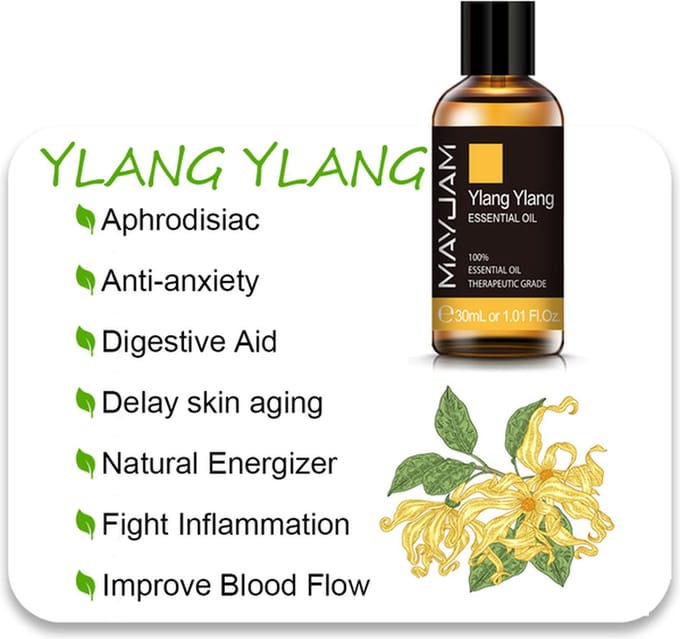 Etherische Olie Ylang Ylang Speciaal Voor Woodsart Unieke Kamergeurverspreider