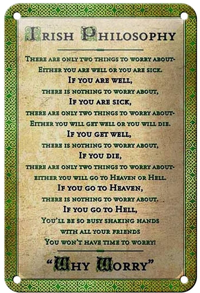 Blechschild Spruch 12x18cm Irish Philosophy there are only