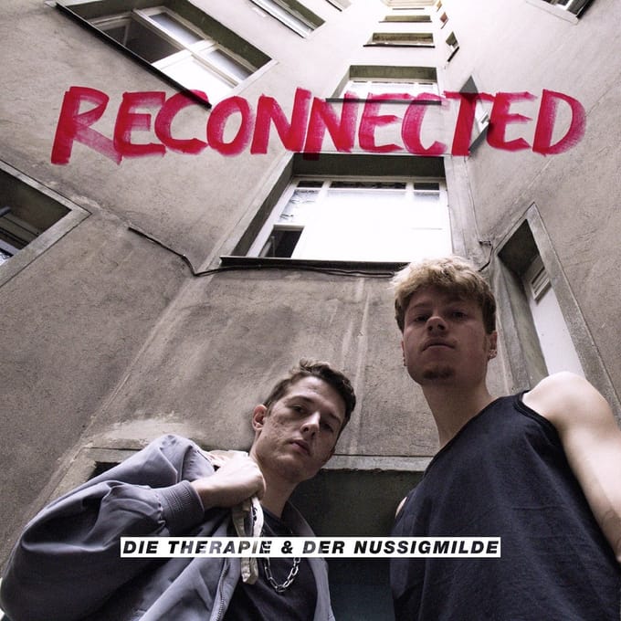 Die Therapie & Der Nussigmilde - Reconnected (LP)