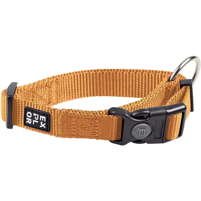 Hondenhalsband Duvoplus Fashion