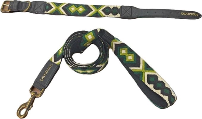 Cavlicious® honden halsband met riem - veganleder - windhonden - groen - M